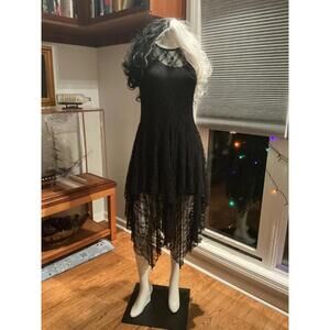 Woman's S/M Costume/Dress and Wig